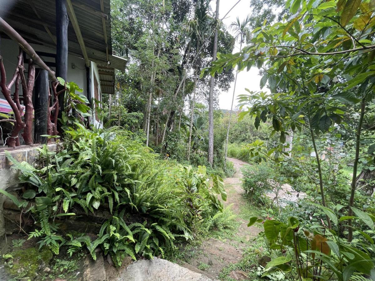 Sri Bhavan إيلا المظهر الخارجي الصورة
